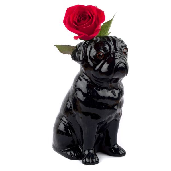 Large Pug Flower Vase in Black by Quail Ceramics