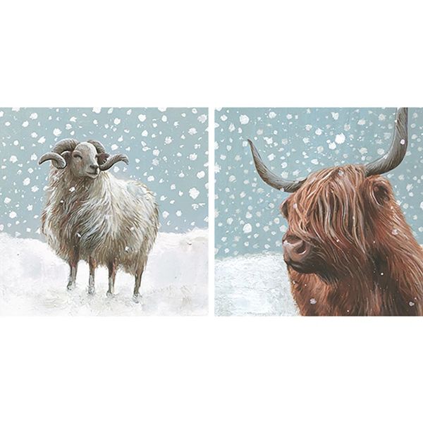 Highland Cow & Sheep Duo Card Pack WAX58