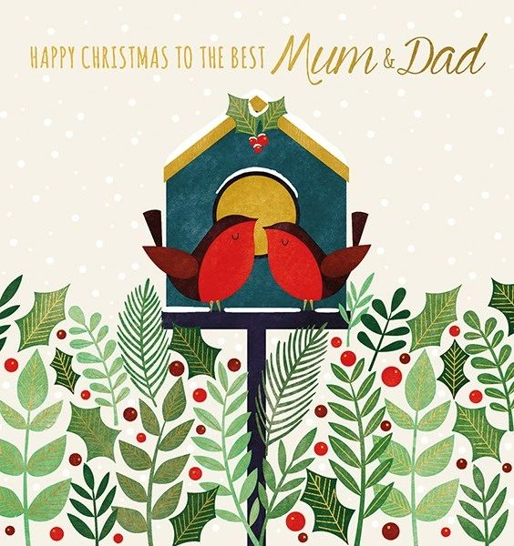 Mum & Dad Robins Bird House Card AFRX171