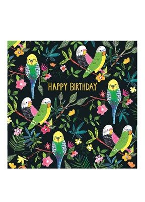 HAPPY BIRTHDAY BUDGIES Jumbo Card JJ1874