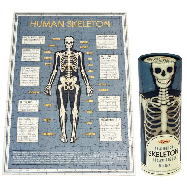 ANATOMICAL SKELETON 300 PIECE PUZZLE IN A TUBE