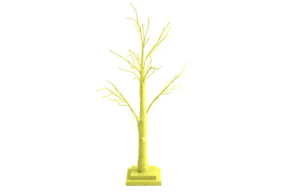 Yellow Twig Tree - 70cm