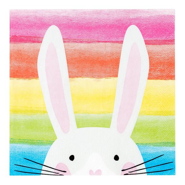 Hop Over The Rainbow Bunny Napkins