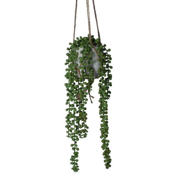 String of Pearls Mini Hanging Plant