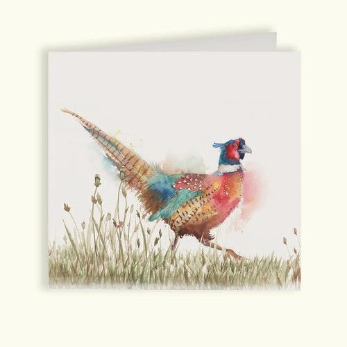 Pheasant