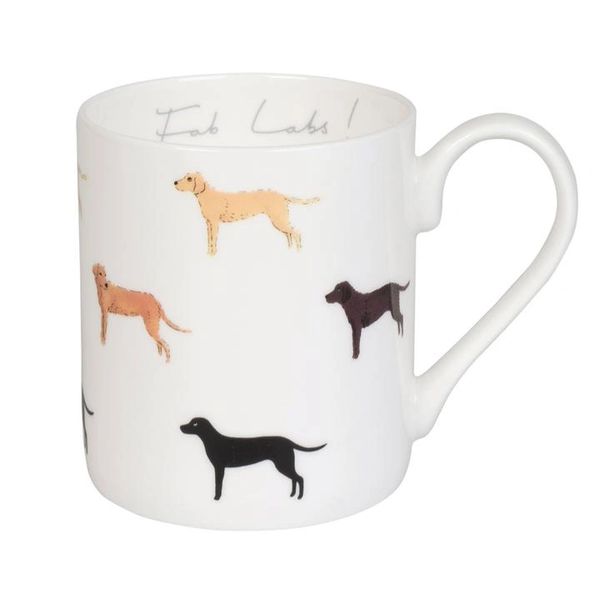 Fab Labs Mug