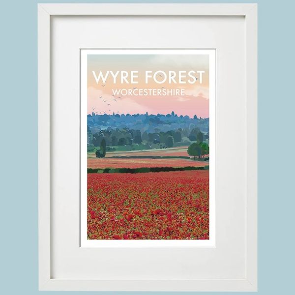 Wyre Forest Framed Print