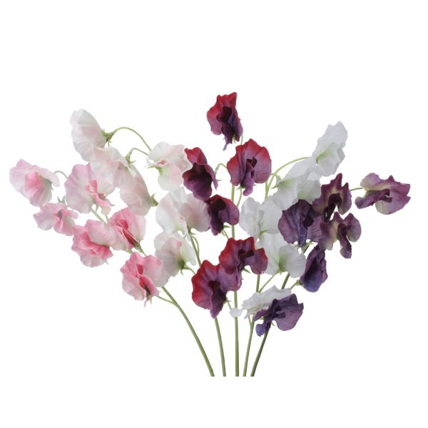 Sweetpea Stem - choose colour