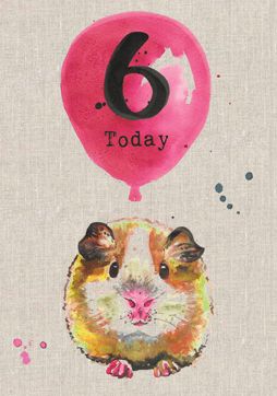 Six Today sa47