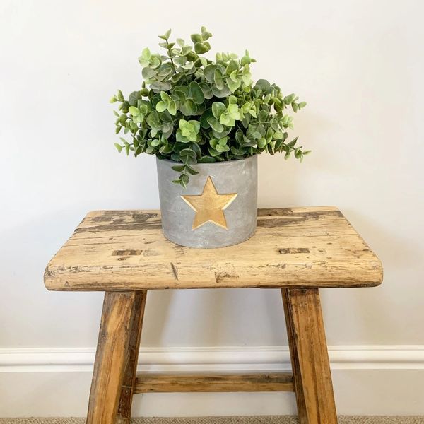 GOLD STAR CEMENT PLANTER, Choose 10cm or 13cm