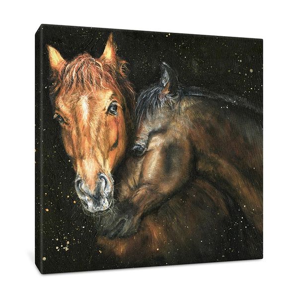 Brandy and Bailey Box Canvas 40cm x 40cm