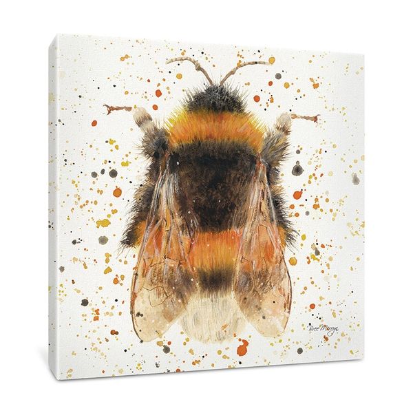 Bee Amazing Box Canvas 40cm x 40cm