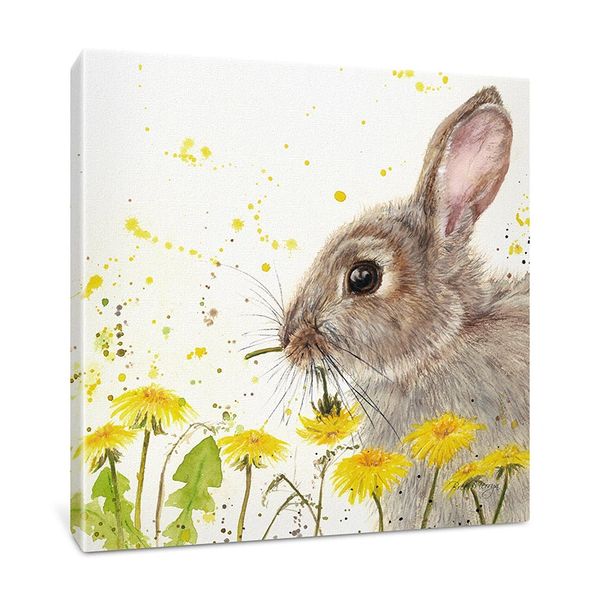 Dandelion Delight Box Canvas 40cm x 40cm