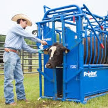 Priefert Small Cattle Working Systems 