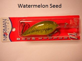 Norman Deep Little N Crankbait