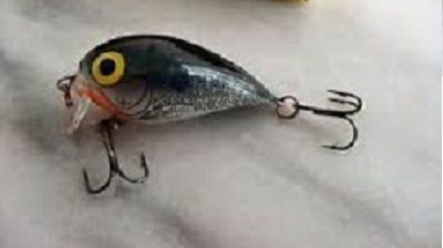  Storm Subwart STORM Sub Wart Crankbait Old Lure