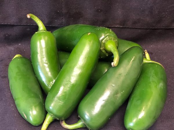  JALAPENOS 