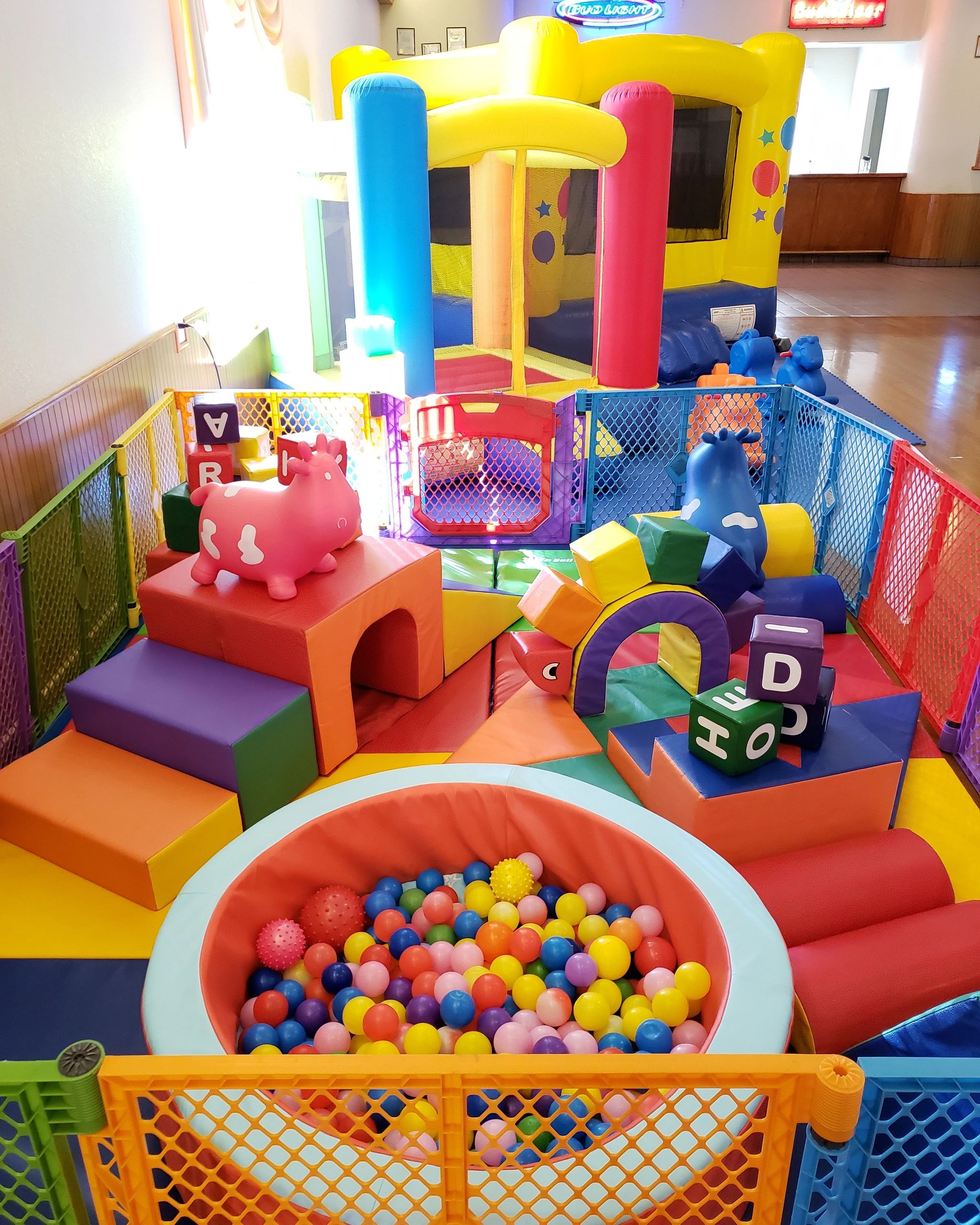 toddler-party-rental