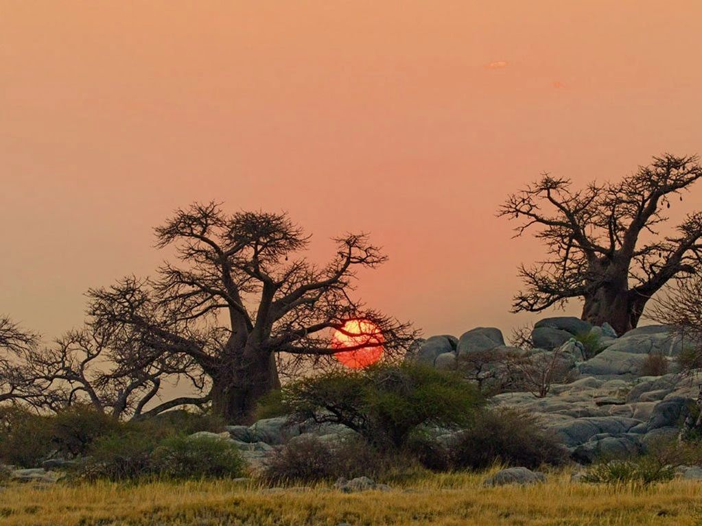 Amazing African Sunsets