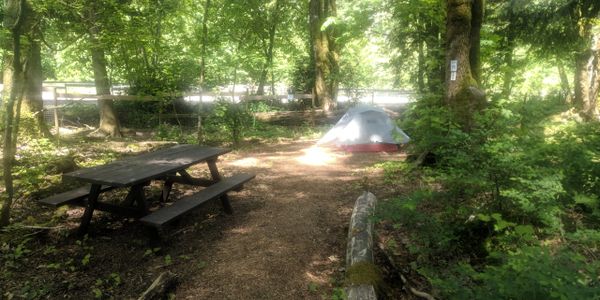 Mamquam River Campground