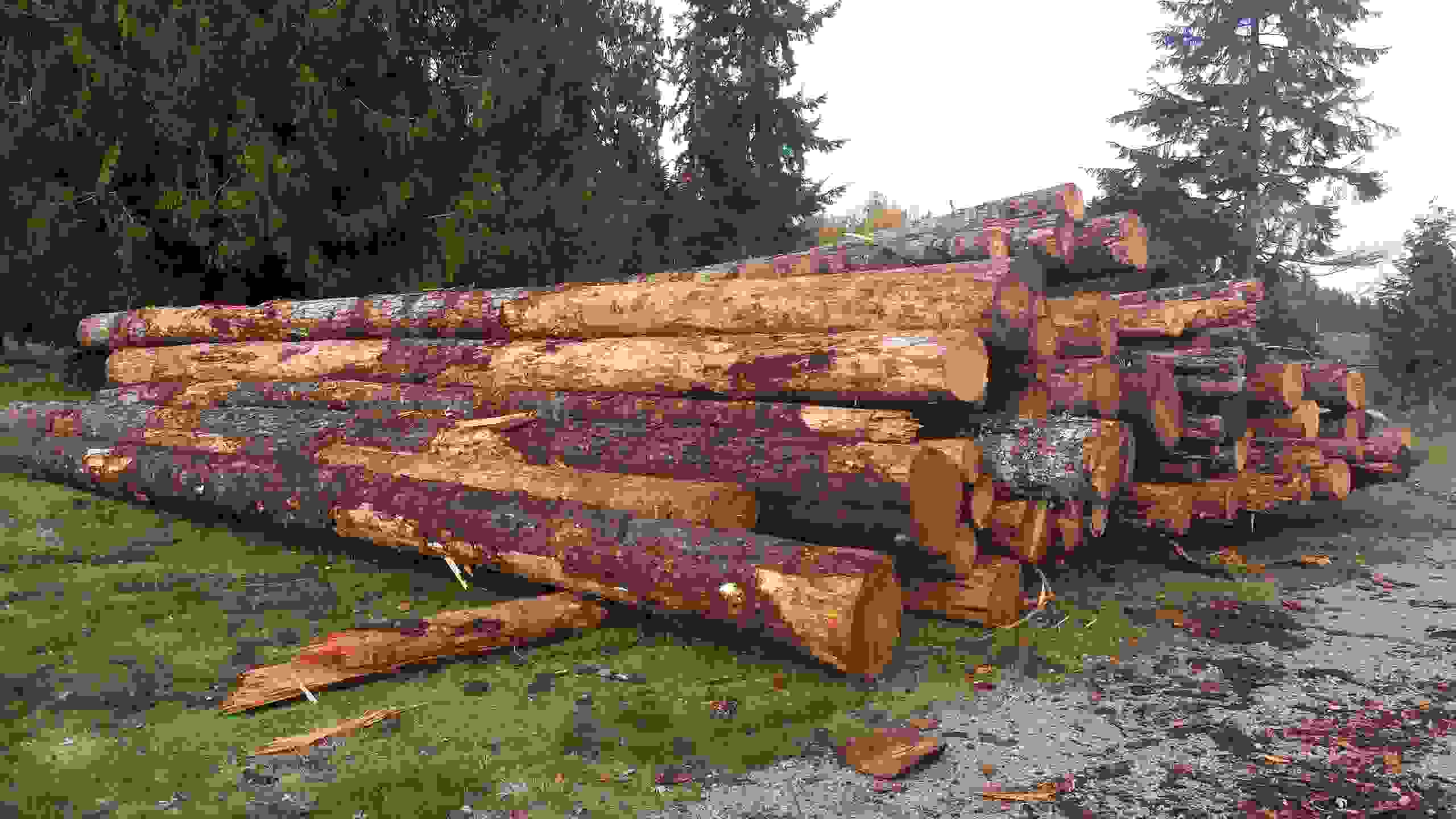 Firewood Sales Roots Forestry Consulting, LLC