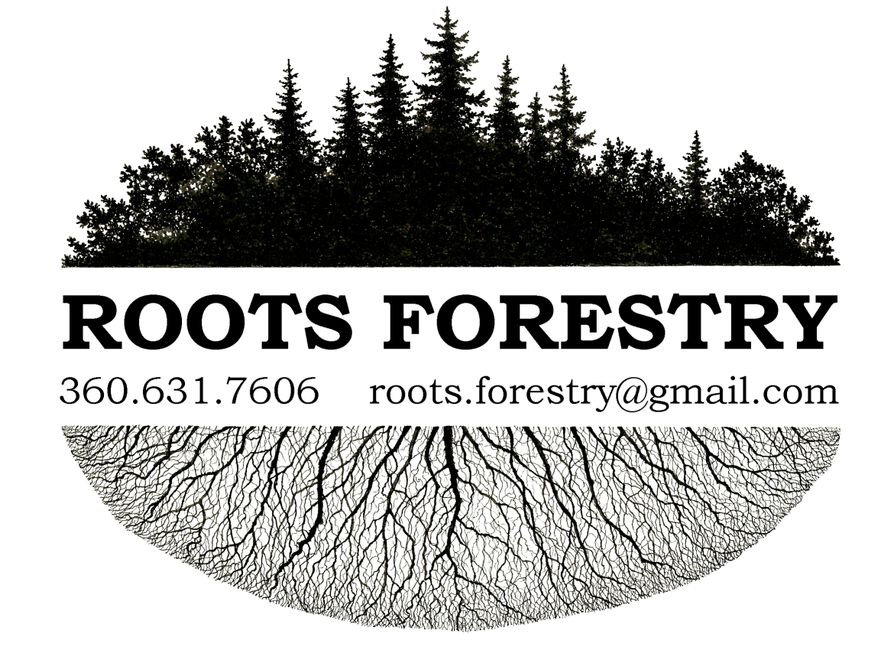 Roots Forestry Consulting, LLC Forestry Consultant, Washington