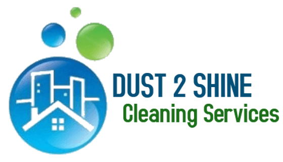 DUST 2 SHINE