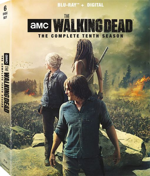 The Walking Dead Season 10 Digital HD Code