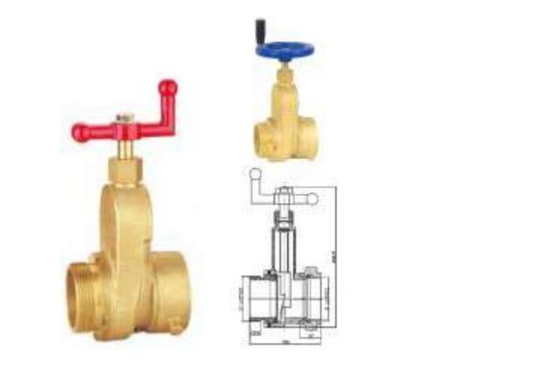 Gate Valve 2.5' Female NPT inlet and Male Nh american Threads outlet 2.5' with Cap and chain
