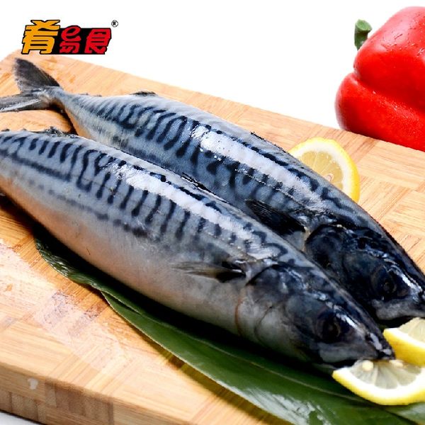 [One-Frozen] Norwegian Mackerel Premier 440g