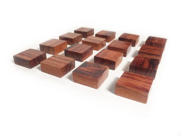 Exotic Wood Magnets (set of 16)