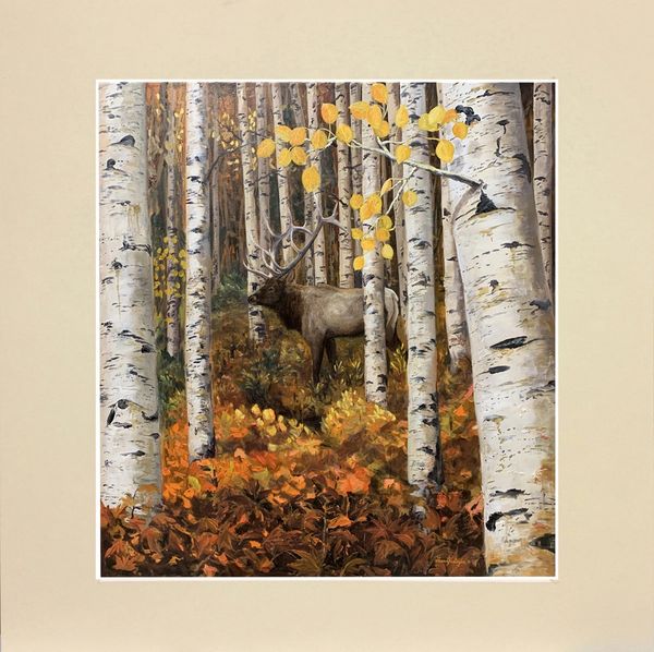 Quaking Aspen Forest" Bull Elk" Oil Painting Print -8x8 with matte 11" x 11"