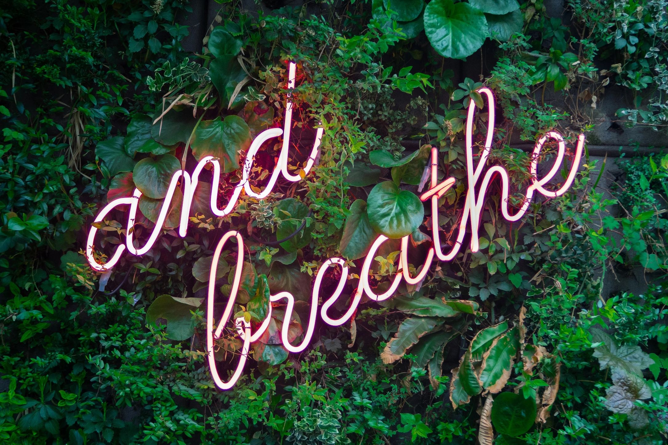 Breathe sign