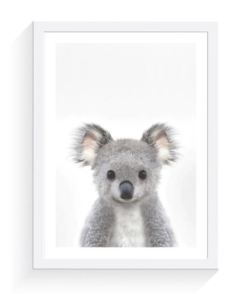 Baby Koala A3 Framed Print