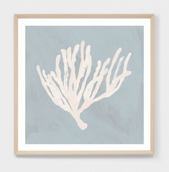 Coral Study 1 Print- Sky Blue