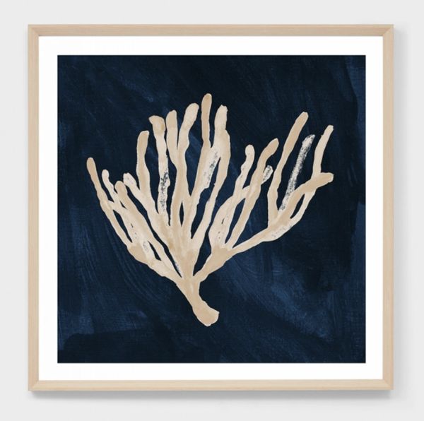Coral Study 1 Print- Midnight