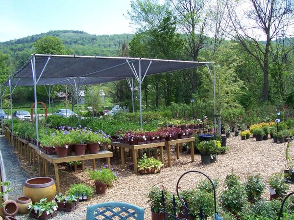 20' x 20' Greenhouse Shade Structure (Available in a Variety of Shade Densities & Colors)
