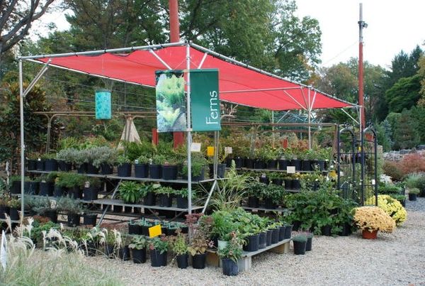 10' x 20' Greenhouse Shade Structure (Available in a Variety of Shade Densities & Colors)