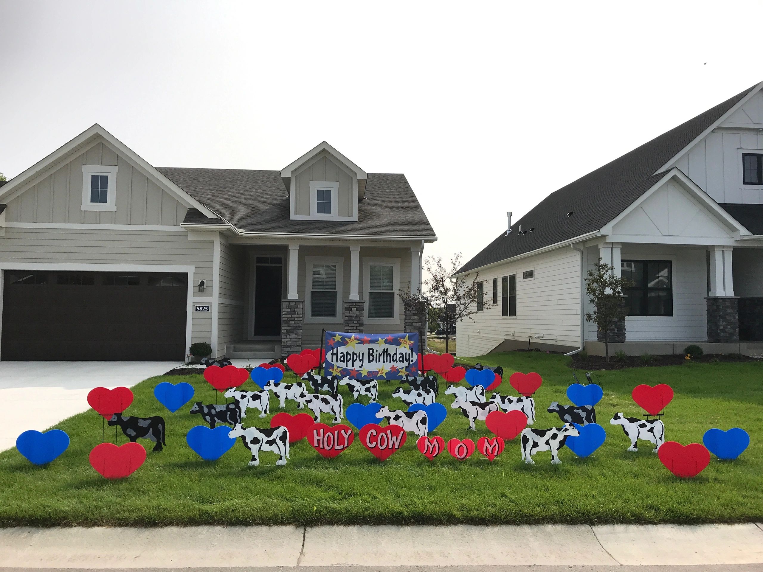 #cows #pigs #hearts #yardcard #yardsigns #birthdaysigns #lawngreeting #cowsigns #birthdaydecoration