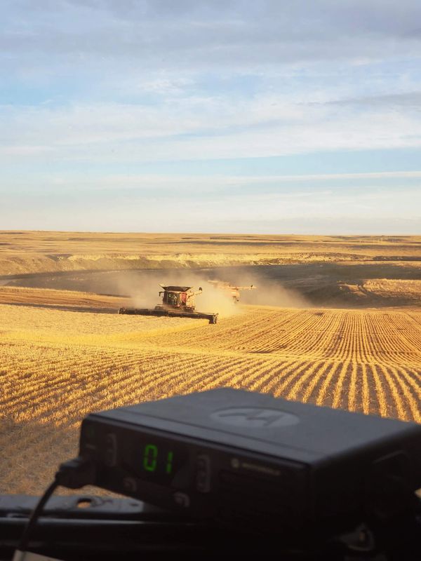 Employment Briggs Harvesting