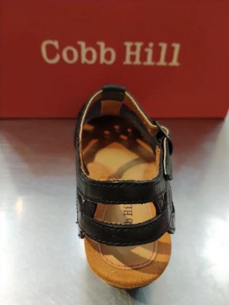 cobb hill aubrey black