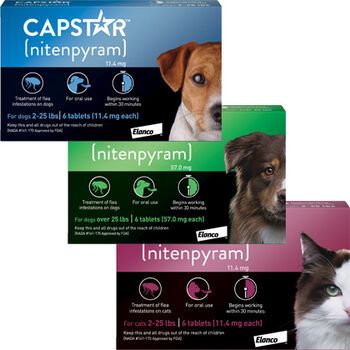 capstar prescription