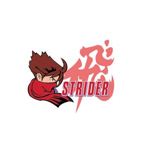 Strider Marvel vs. Capcom 3 Sticker Creative Flame Designs FGC