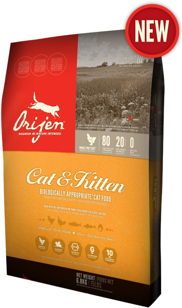 Organic kitten food best sale