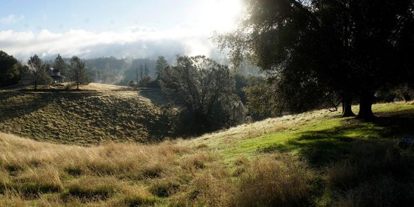 View of the Bulls Head from Red Mule Ranch