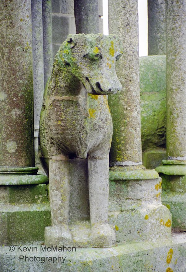 Laon Cathedral, oxen statue, moss