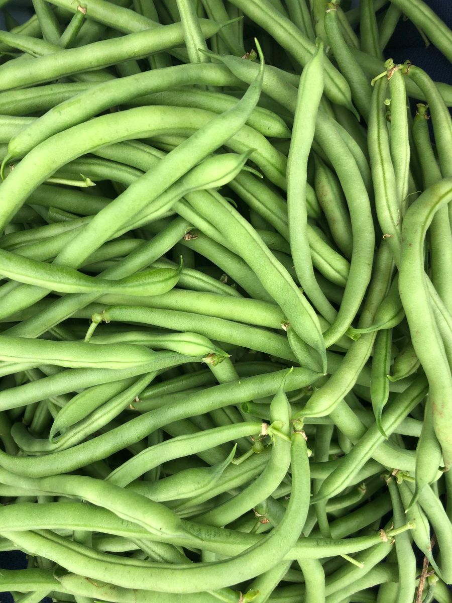 Prairie Hill Organics photo 4