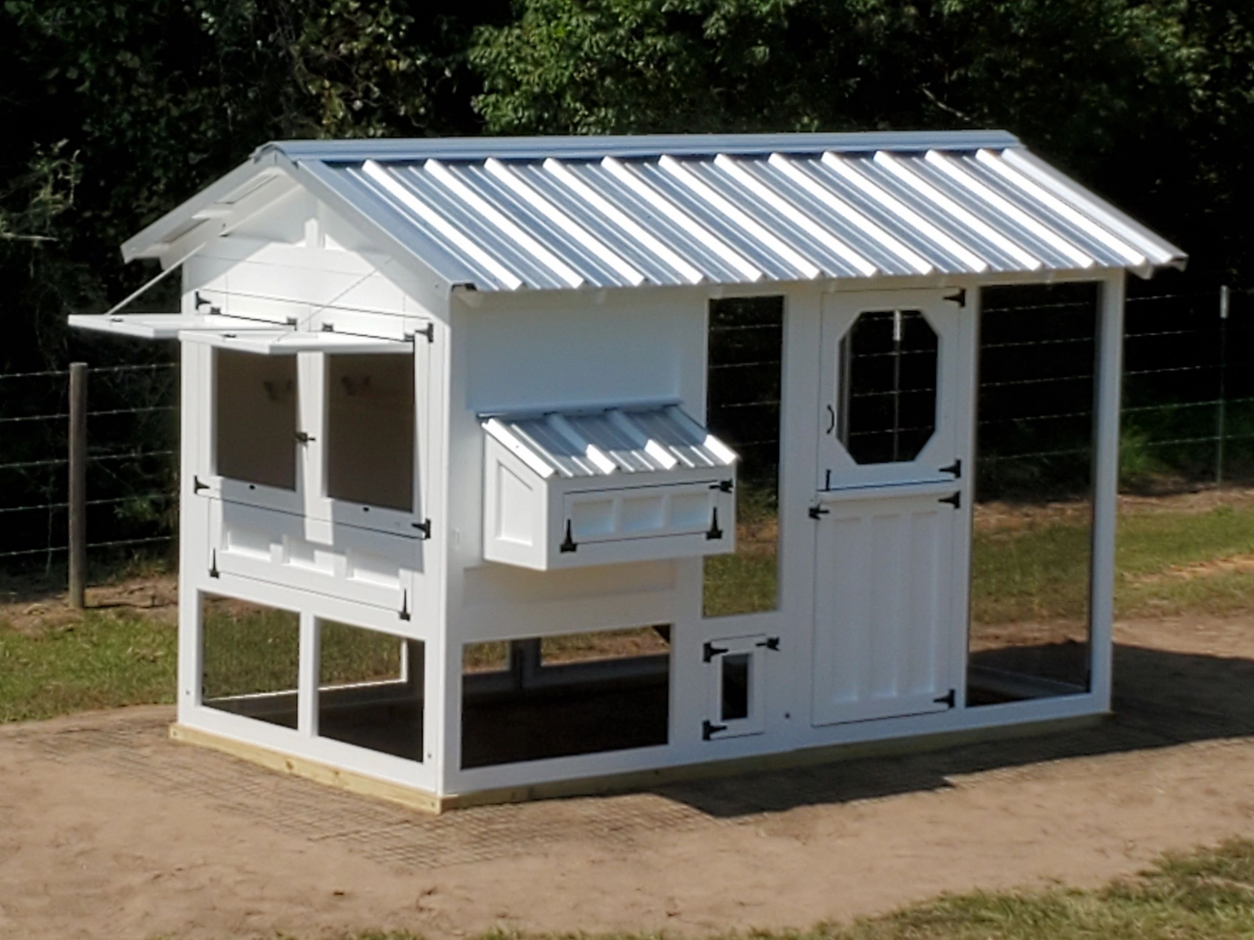chicken coop for 6 chickens