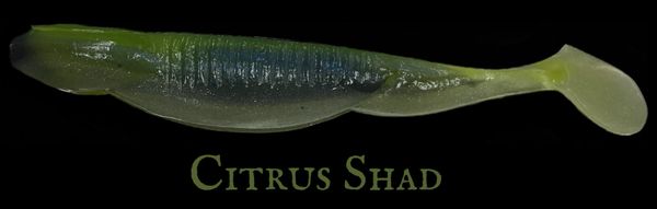 Baby Swayback Swimmer 3.25" - Citrus Shad #39
