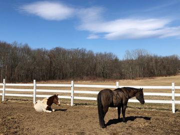 horse stall, equestrian, farm, boarding, lesson, horseback riding, facility, stall, training, indoor